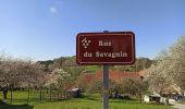 Tour Wandern Pupillin - 03-04-21 vignes pupillin  - Photo 1