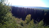 Tour Wandern Besançon - Forêt de CHAILLUZ  - Photo 2