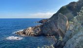 Tour Wandern Ramatuelle - Tour du phare Camarat  - Photo 1