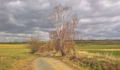 Randonnée A pied Kostelec u Křížků - [Z] Lojovice - Kostelec u křížků - Photo 1