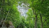 Tour Wandern Entremont-le-Vieux - Refuge de l'Alpette - Photo 5