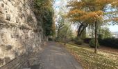 Trail Walking Liège - une heure dans le sentier des coteaux  - Photo 11