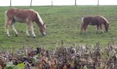 Trail Walking Verviers - petit tour dans la campagne d´Heusy - Photo 9