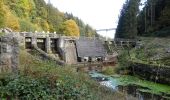 Percorso A piedi Freyung - Rundwanderweg Nr. 1 Saußbach - Ahornöd - Photo 7