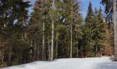 Tocht Sneeuwschoenen Autrans-Méaudre en Vercors - Pas de Nave  - Photo 11