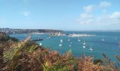 Trail Walking Camaret-sur-Mer - CAMARET - Photo 5