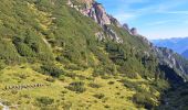 Trail Walking Prags - Braies - DOLOMITES 05 - Rifugio Dreizinnenhütte - Photo 18