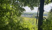 Randonnée Marche Ettelbruck - Escapardenne Lee Trail: Ettelbrück - Moulin de Bourscheid - Photo 20