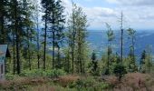 Percorso Marcia Vecoux - circuit vecoux depuis Parking les coucherons passant par 5 chalets - Photo 15