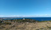 Trail Walking Argelès-sur-Mer - argeles - collioure / retour par la mer  - Photo 20