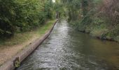 Tocht Stappen Rodès - Rodes, Gorges de la Guillera  - Photo 18