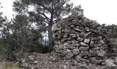 Trail Walking Cuers - Cuers .la bouisse , le roucas de mounier - Photo 15