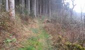 Tocht Stappen Bastenaken - Marche ADEPS à  Bras-Bastogne.10 km essentiellement  boisé. Très beau parcours. Balisage parfait. - Photo 3