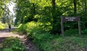 Trail Walking Landrichamps - Landrichamps 100622 - Photo 7