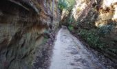 Trail Walking Carpentras - carpentras la legue - Photo 3