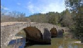 Randonnée Marche Corconne - Les vignobles de Corconne et le Pont des Cammaous - Photo 1