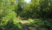Trail Walking Lacroix-Saint-Ouen - en forêt de Compiègne_35_la Croix Saint-Sauveur_le Ru du Goderu - Photo 7