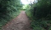 Tocht Stappen Durbuy - Les Dolmens de Wéris  - Photo 3