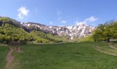 Excursión A pie Chambon-sur-Lac - La Vallée de Chaudefour - Photo 2