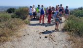 Trail Walking Fabrègues - Fabregues-Mont Bauzille-12km-250m - Photo 1