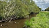 Randonnée Marche nordique Vendays-Montalivet - Marais de la Perge - Photo 4