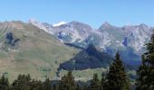Trail Walking Le Grand-Bornand - AIGUILLE VERTE boucle - Photo 2