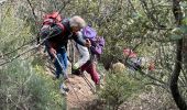 Excursión Senderismo La Celle - Celle : la Loube et l'Amarron - Photo 8