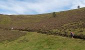 Trail Walking Orcines - puy Pariou - Photo 7