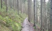 Trail Walking Malmedy - malmedy . ferme libert .  tro maret . ferme libert . malmedy par les crêtes  - Photo 16