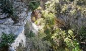 Tocht Stappen Nantua - AIN / NANTUA: MARIA MATRE - LES FECLES - LA COLONNE - LE MONTOUX - Photo 5