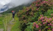 Excursión Senderismo Pralognan-la-Vanoise - Pied du glacier du Genepy - Photo 7