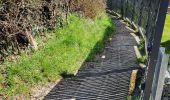 Tour Wandern Wanze - Bas Oha 180325 - Photo 10