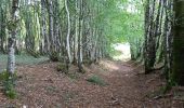 Trail Walking Champsanglard - Enzeme-Moutier 25,7km - Photo 14