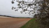 Randonnée Marche Gélannes - GÉLANNES, le village et les champs de céréales - Photo 4