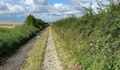 Tocht Stappen Florennes - Hanzinelle - Hanzinne - Fromée - Biesme - Wagnée - Photo 3