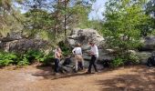 Randonnée Marche Fontainebleau - Le mont aigu  - Photo 2