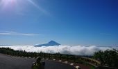 Excursión Senderismo Cedros -  caldeira Faial - Photo 4