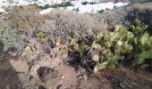 Trail Walking Agaete - dedo de duos-mini tour - Photo 5