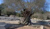 Trail Walking Sernhac - sernhac pont du gard - Photo 2