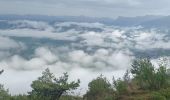 Randonnée Marche Seyne - SEYNES LES ALPES Bas et haut Chardavon  , balade de la Rochette , ravin des Ganiayes , les Côtes n - Photo 2