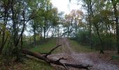 Excursión A pie Huizen - IJzeren Veld, Bikbergen en Crailo - Photo 2