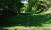 Percorso Marcia Verviers - aqueduc-bois de Jalhay-Cossart  - Photo 14