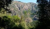 Excursión Senderismo Évisa - gorges spelunca - Photo 3