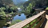 Trail Walking Canelas e Espiunca - Passadicos do Paiva walkways  - Photo 6