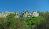 Percorso A piedi Bélapátfalva - Bélapátfalva - Bél-kői Tanösvény - Photo 3