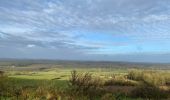 Trail Walking Marche-en-Famenne - Humain - Photo 6
