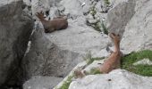 Randonnée Marche Glières-Val-de-Borne - BARGY: PARADIS - LAC DE LESSY - Photo 4