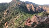 Tour Wandern Saint-Raphaël - Les grues et le Mont St Martin depuis le col Notre Dame - Photo 14