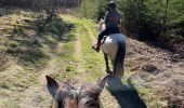 Trail Horseback riding Florenville - Les Epioux  - Photo 14