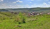 Excursión A pie Târgu Mureș - Târgu Mureș (Platoul Cornești) - Dealul Nou - Sângeorgiu de Mureș - Photo 8